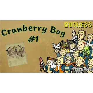5k Cranberry Bog # 1