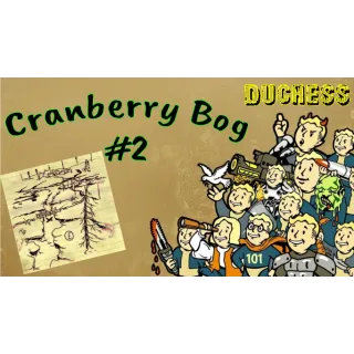 5k Cranberry Bog #2