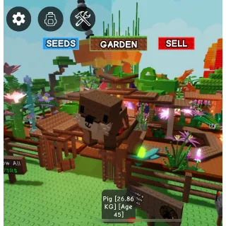 SEMI HUGE SEA OTTER 20kg+