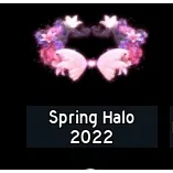 Spring halo 2022