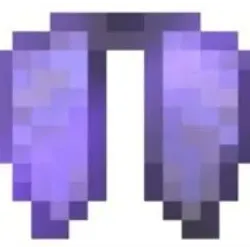 Elytra