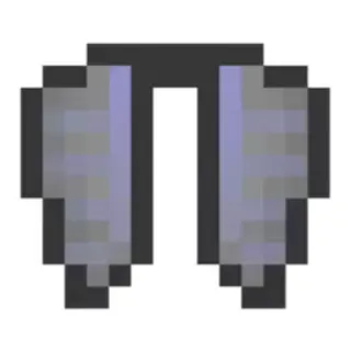 Elytra donutsmp