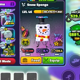 RB 5S SNOW SPONGE