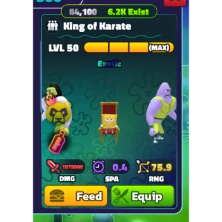 MAX NC KING OF KARATE