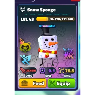 NON-DUPED - NC HDS SNOW SPONGE