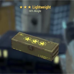 Light Weight module