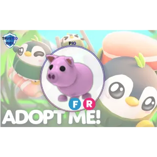 Pig (FR) - Pets