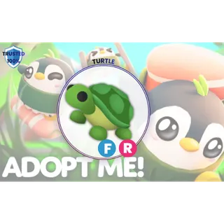 Turtle (FR) - Legendary Pets