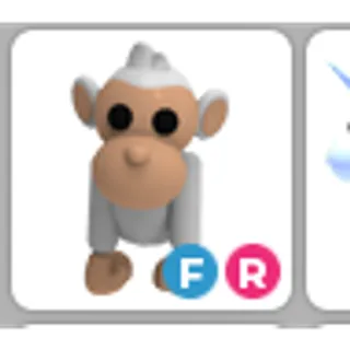 albino monkey fr