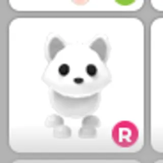 arctic fox r