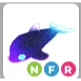 Glormy Dolphin NFR