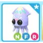 Pet | NFR Squid