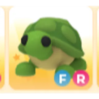 fr turtle