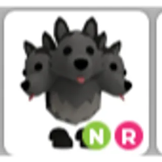 cerberus nr