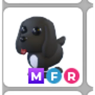 royal dog mfr