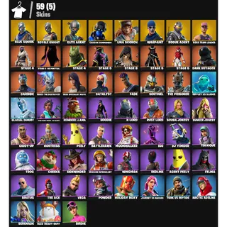 Fortnite Account - |59 skins | OG STW | Blue Squire | Royale Knight | Elite Agent | Take The L | Rogue Agent | 200 V-Bucks