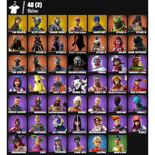 Fortnite Account - |48 skins | OG STW | The Reaper | Elite Agent | Rogue Agent |550 V-Bucks