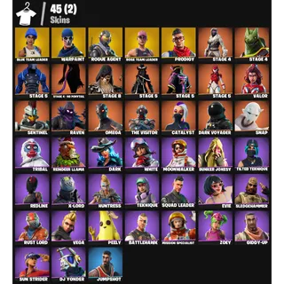 Fortnite Account - | 45 skins | OG STW | Blue Team Leader | Rogue Agent | Prodigy |Take The L |50 V-Bucks
