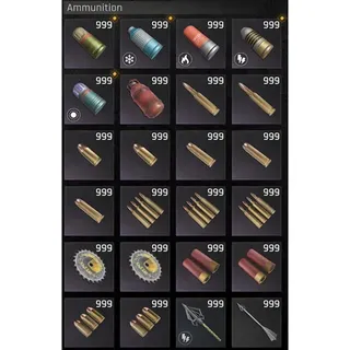 Ammo Bundle (Xbox/PS5)