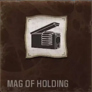 6x Mag of Holding cases 