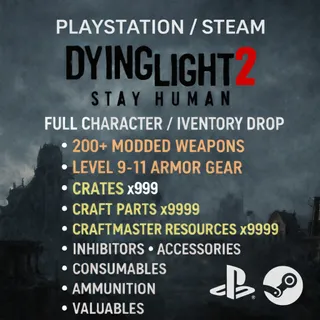 Dying Light 2 (PlayStation/Steam)