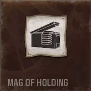 6x Mag of Holding cases 