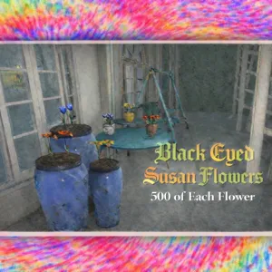 Black Eyed Susan Flowers