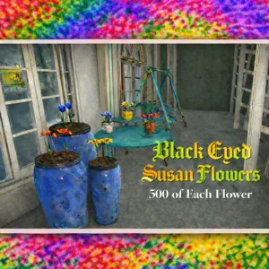 Black Eyed Susan Flowers