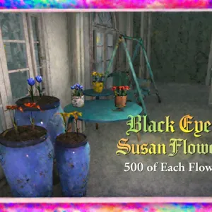 Black Eyed Susan Flowers