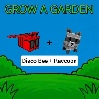 Disco Bee + Raccoon Grow A Garden GAG
