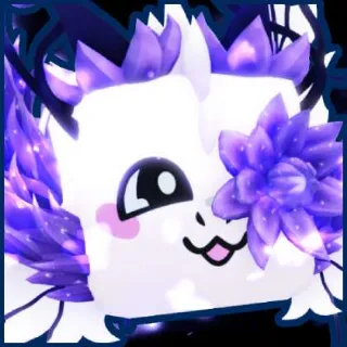 5X Angelic Spirit BGSI