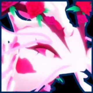 Rose Koi BGSI