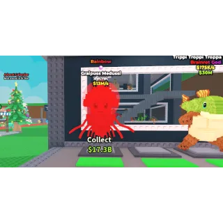 rainbow 13m/s graipuss medussi