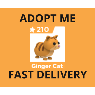 Pet Adopt Me Ginger Cat In Game Items Gameflip - roblox adopt me ginger cat names