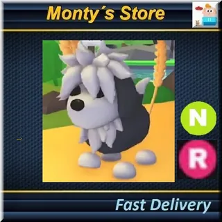 NR English Sheepdog