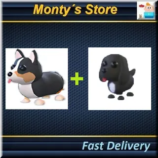 Royal Dogs Combo