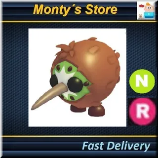 NR Kiwi Kiwi