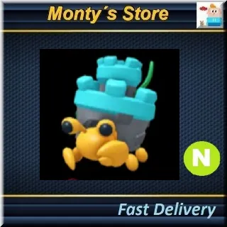 Neon Castle Hermit Crab