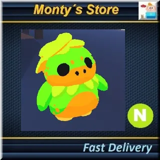 รายการภาพถ่าย