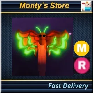 MR Vermilion Butterfly