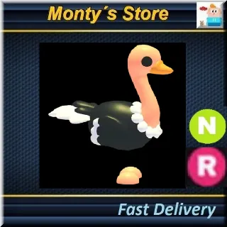 NR Ostrich