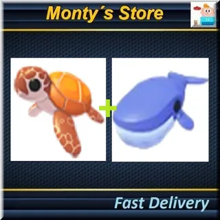 Sea Turtle + Blue Whale