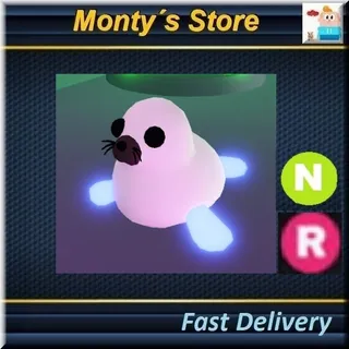 NR Harp Seal