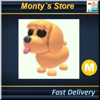 Mega Toy Poodle