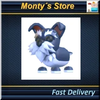 MINI SCHNAUZER 