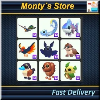 9X Mega Summer Pack