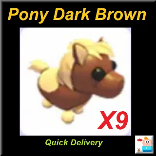 Pony Dark Brown X9