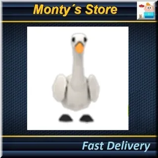 Swan
