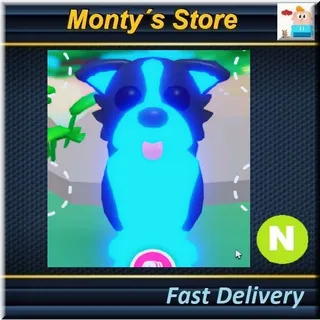 Neon Border Collie