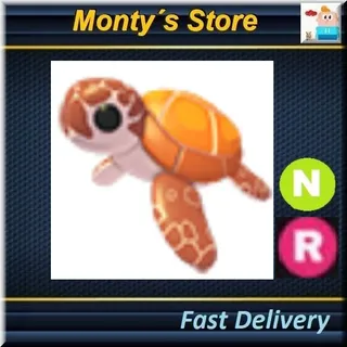 NR Sea Turtle